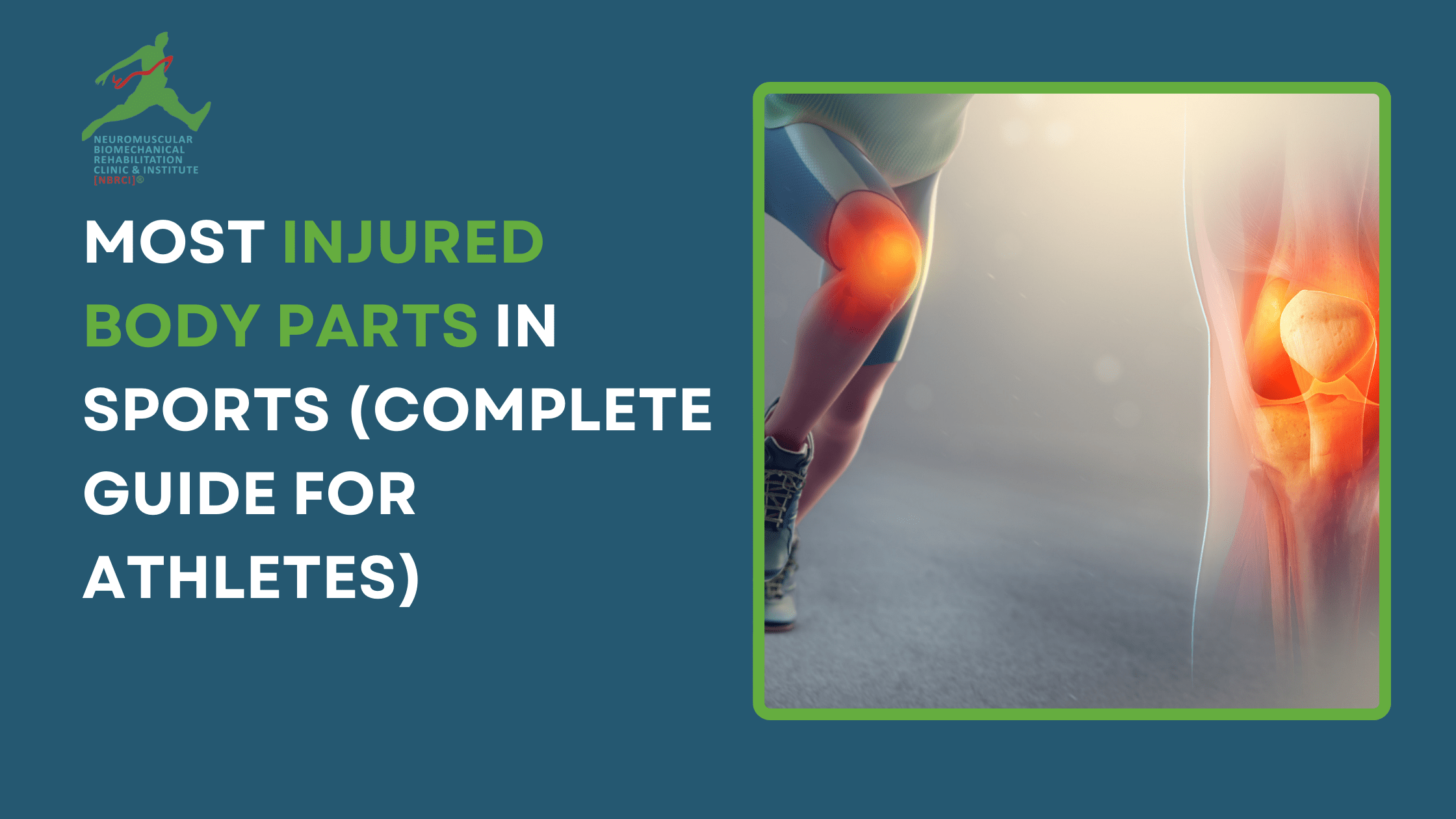 Most injured body parts in sports including Achilles, ankle, elbow, knee, leg muscles and shoulder