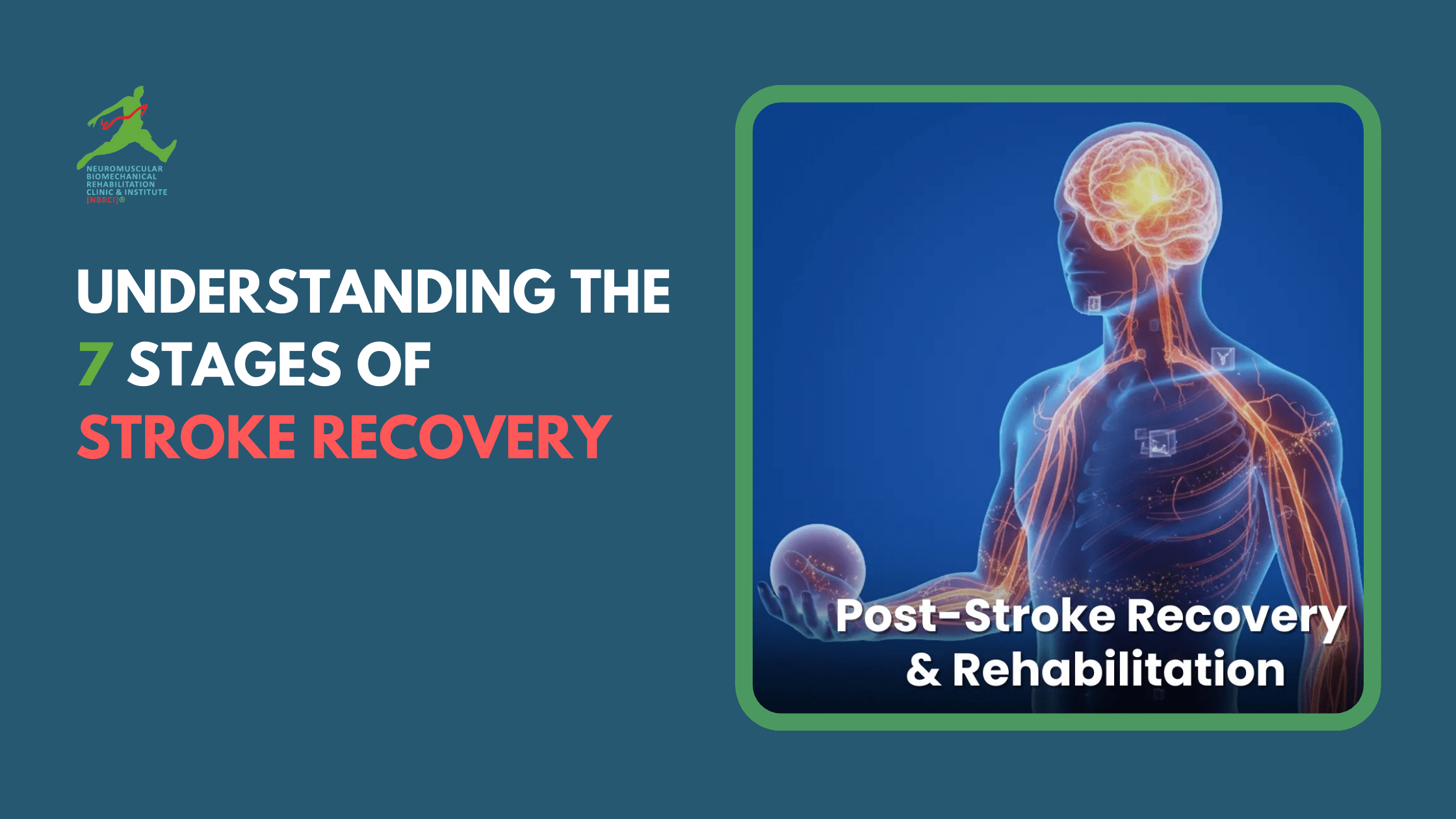 Image Alt: Medical illustration of a patient experiencing initial flaccid paralysis after a stroke.