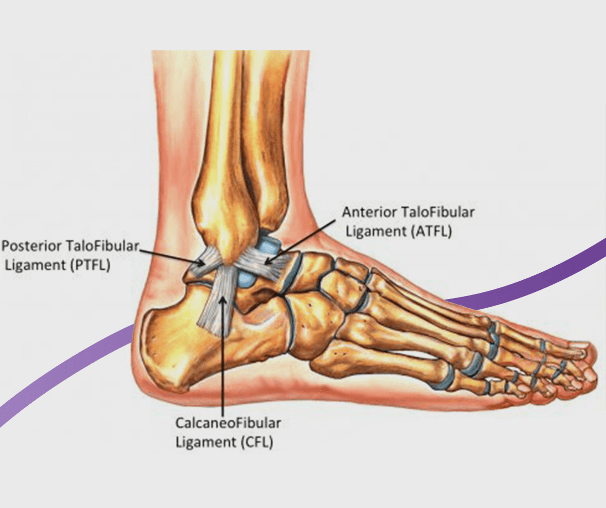 Illustration of ankle pain symptoms, causes, and treatment options – NBR Clinic